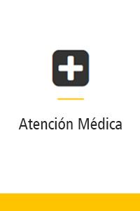 atencionMedica